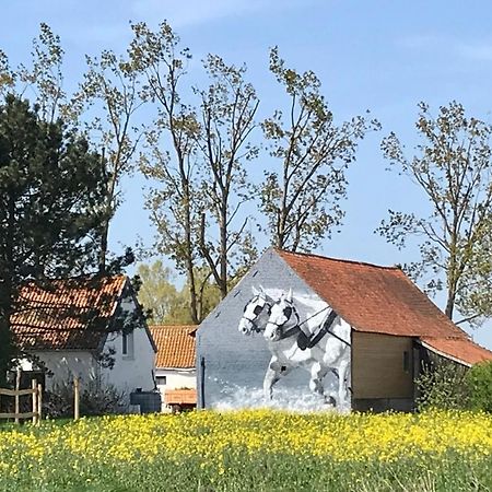 Affittacamere La Ferme Wessière Oye-Plage Esterno foto