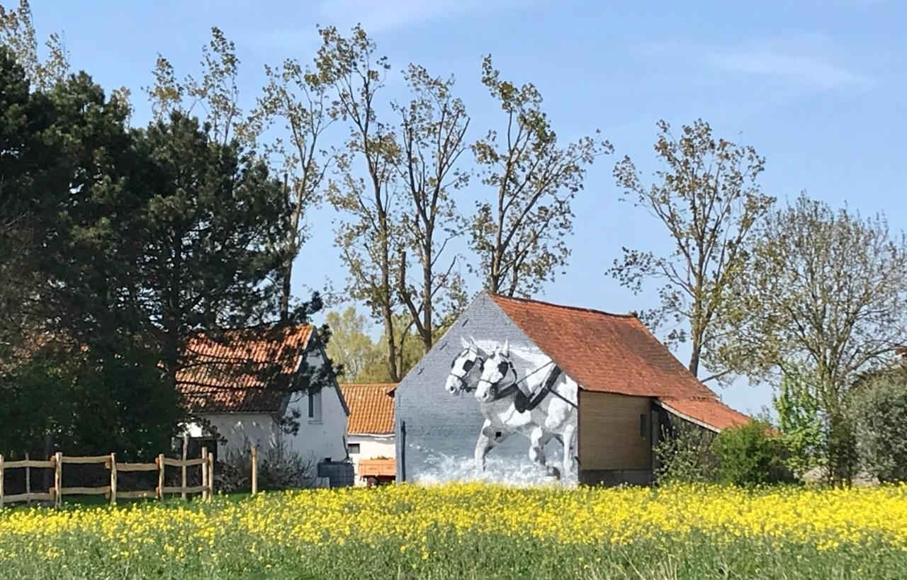 Affittacamere La Ferme Wessière Oye-Plage Esterno foto