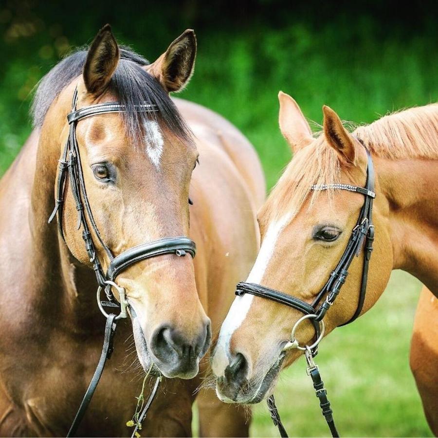 Affittacamere La Ferme Wessière Oye-Plage Esterno foto